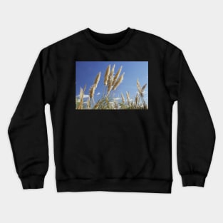 Pampas Grass - Reserva Ecologica Costanera Sur, Buenos Aries Crewneck Sweatshirt